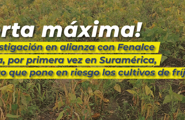 Plantilla-Banner-Web-2-23-04-2025-05