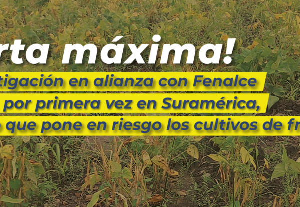 Plantilla-Banner-Web-2-23-04-2025-05
