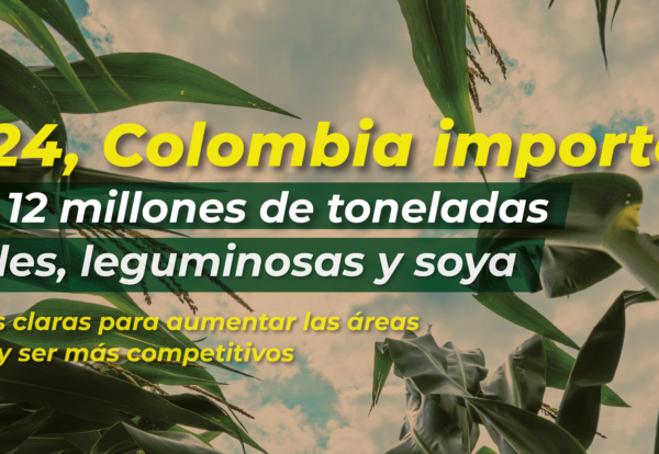Plantilla Banner Web-23-04-2025-05