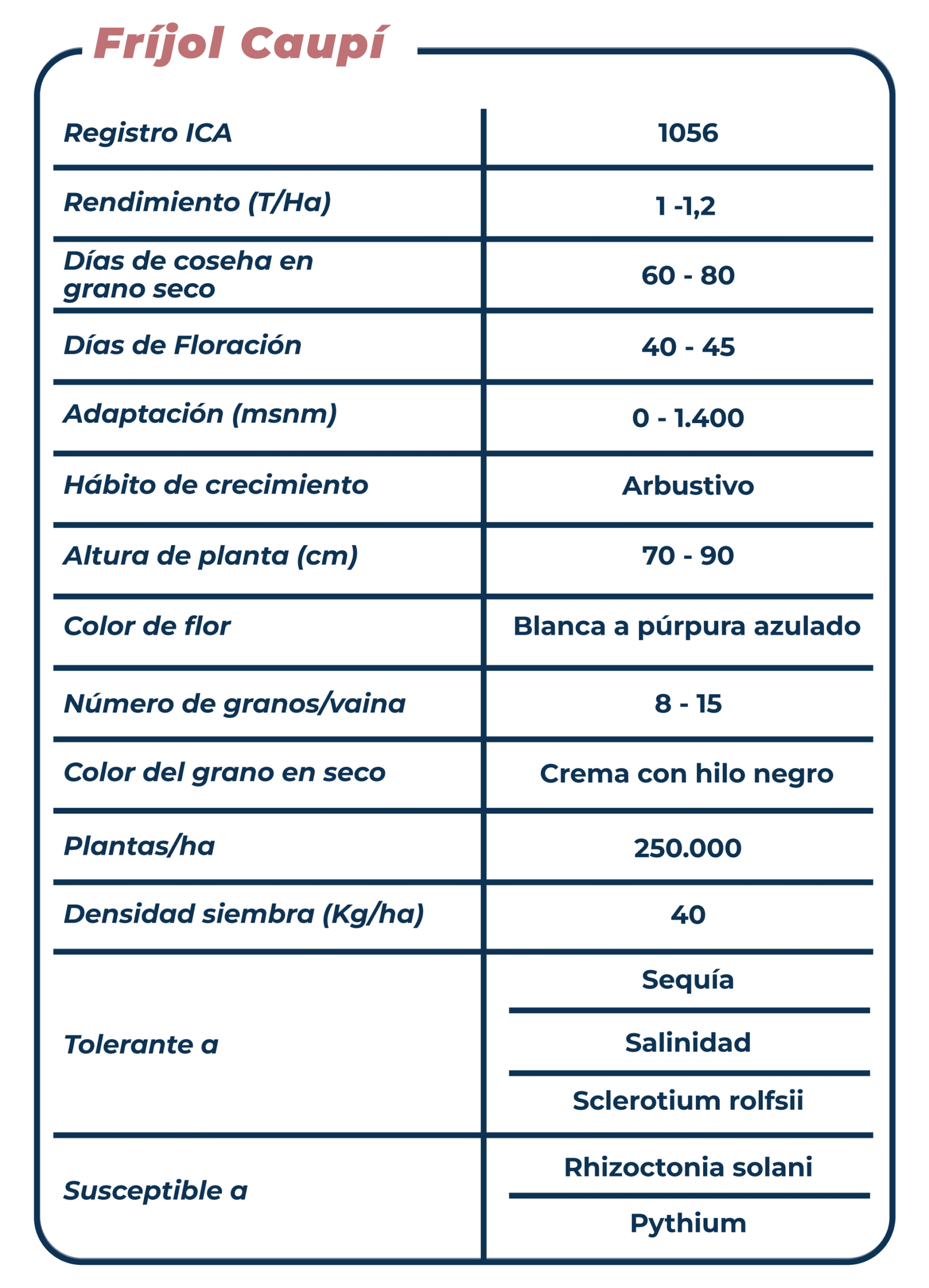 Ficha técnica Fríjol Caupí