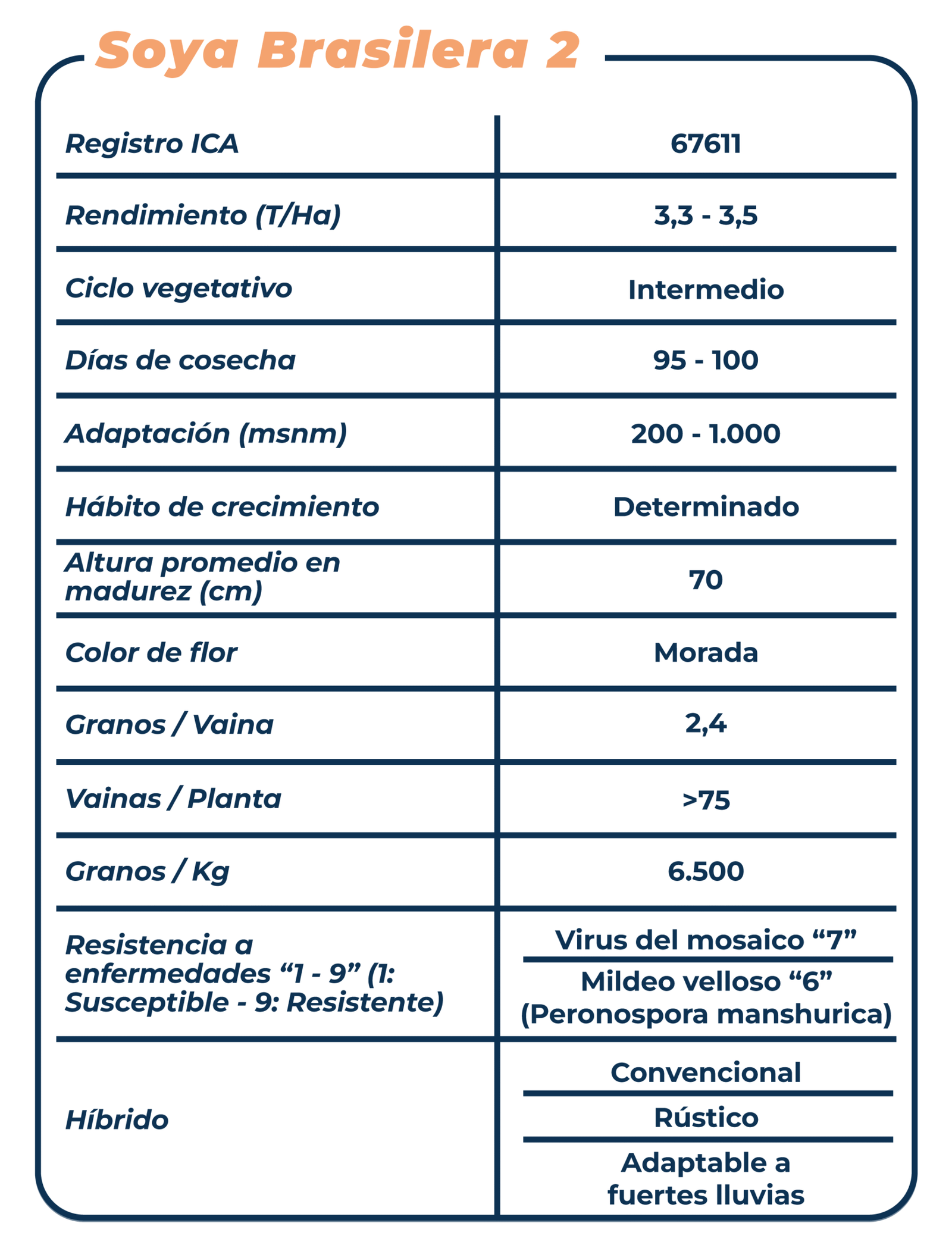 Ficha técnica Soya Brasilera 2