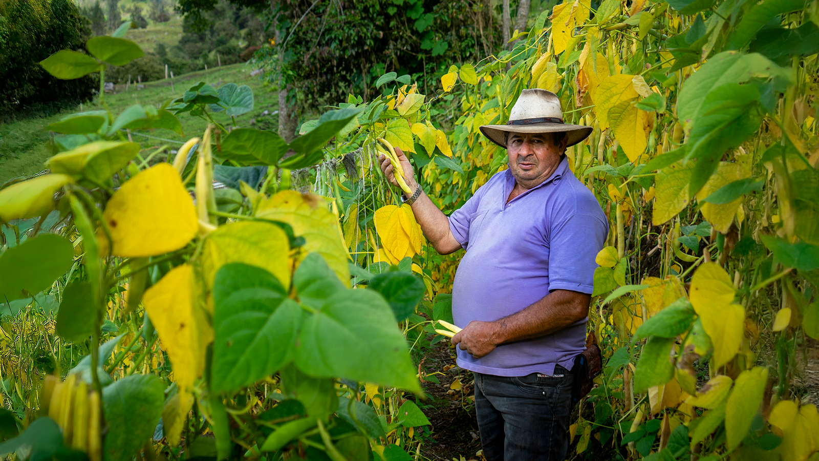 Fenalce y la Gobernación de Cundinamarca se unen para fortalecer la producción de fríjol